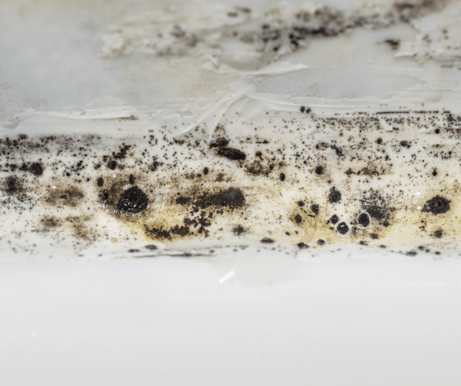 mold-guide