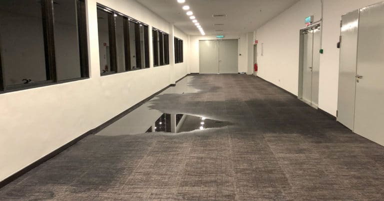 Your Commercial Property Has Water Damage: Now What?